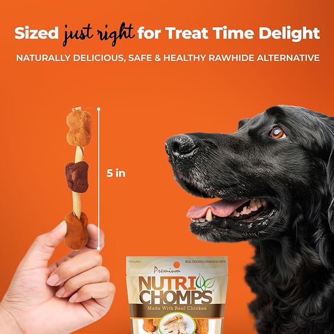 NutriChomps Dog Chews, 5-inch Kabobs, Easy to Digest, Rawhide-Free Dog Treats, 6 Count, Real Chicken and Duck flavor