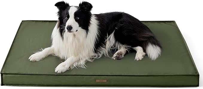 Lesure Outdoor Waterproof Dog Crate Bed Large Sized Dog, Orthopedic Egg Crate Foam Pet Bed with Oxford Fabric Surface and Removable Washable Cover, Pet Mat 35''x22'', Green
