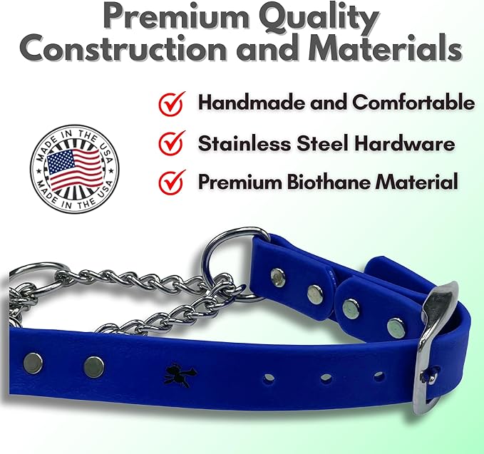 Martingale Collar for Dogs, Biothane, Stainless Steel Hardware, No Pull, Made in The USA, Professional Grade, Small, Blue