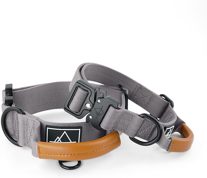 Made to ROAM Premium Explorer Control Collar - Adjustable Heavy Duty Nylon Dog Collar with Quick-Release Metal Buckle and Handle (Montana Moonrise, Control Size 5)