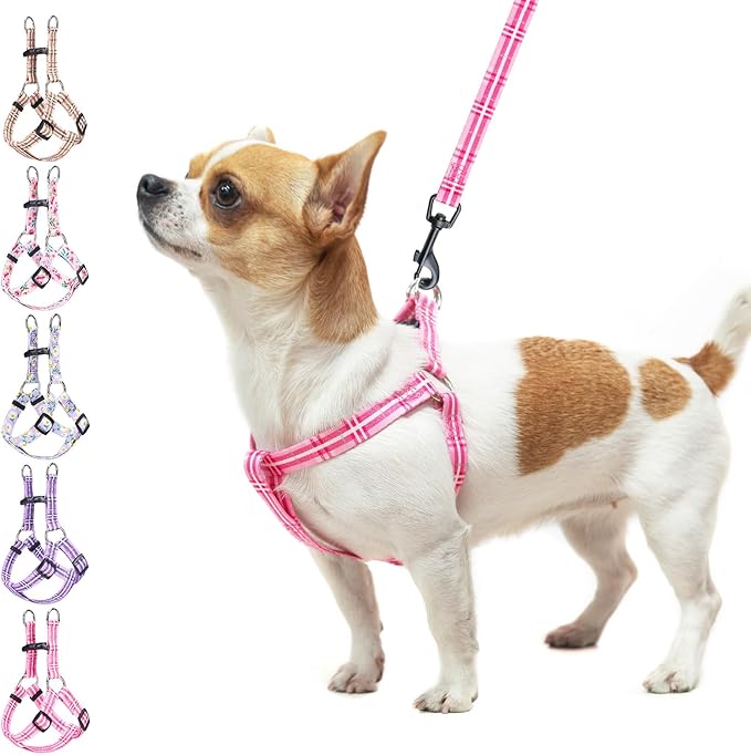 BEAUTYZOO No Pull Dog Harness and Leash Set - Adjustable Step-in Puppy Harness for Small Medium Large Dogs, Escape Proof Soft Nylon Vest with Double D Ring for Walking Running Training, Pink Plaid XS