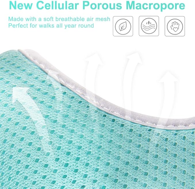 Puppy Harness and Leash Set- XS and Small Dog Harness - Adjustable Reflective Step in Harness for Dogs - Soft Mesh Comfort Fit No Pull No Choke (XS, Mint Green)