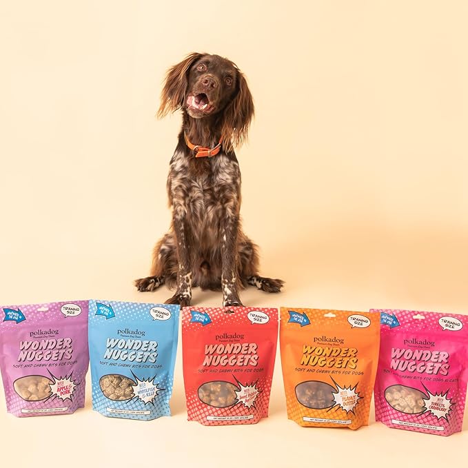 Polkadog Turkey & Cranberry Wonder Nuggets Dog Treats – All-Natural Pet Training Treats for Dogs – Healthy, Handmade Puppy Snacks – Bite-Sized, Soft, Chewy Treats for Pets – 10 oz