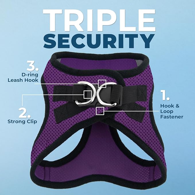 Voyager Step-in Air All Weather Mesh Harness and Reflective Dog 5 ft Leash Combo with Neoprene Handle, for Small, Medium and Large Breed Puppies by Best Pet Supplies - Purple/Black Trim, Large