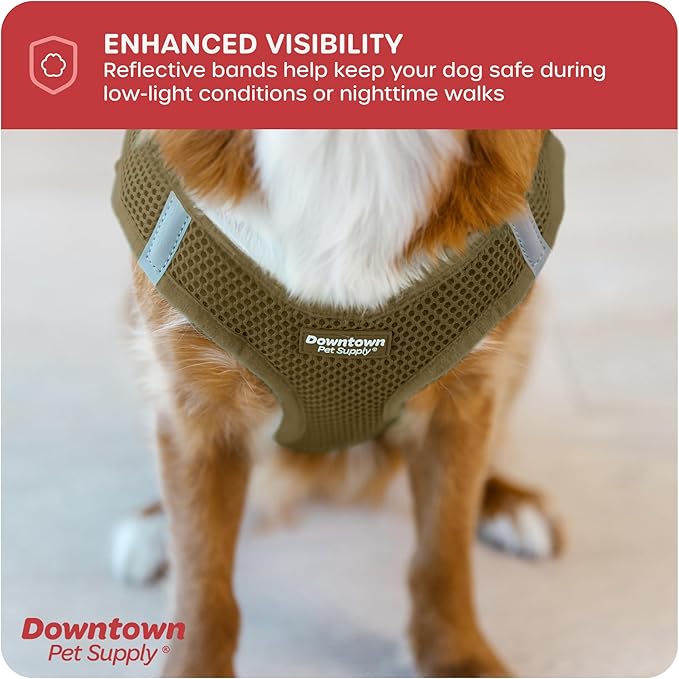 Downtown Pet Supply Step in Dog Harness for Small Dogs No Pull, X-Small, Hunter Green - Adjustable Harness with Padded Mesh Fabric and Reflective Trim - Buckle Strap Harness for Dogs