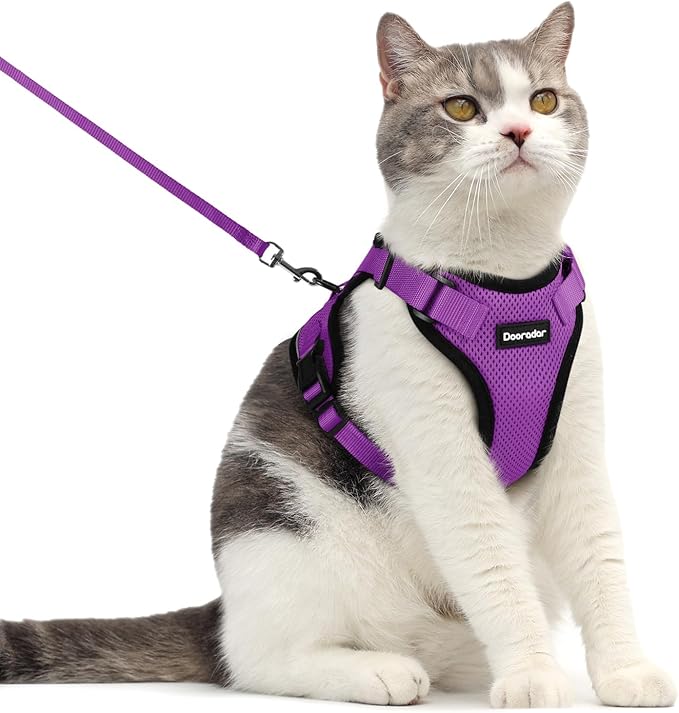 Dooradar Cat Harness and Leash Set, Escape Proof Safe Adjustable Kitten Vest Harnesses for Walking, Easy Control Soft Breathable Mesh Jacket with Reflective Strips for Cats, Purple, M