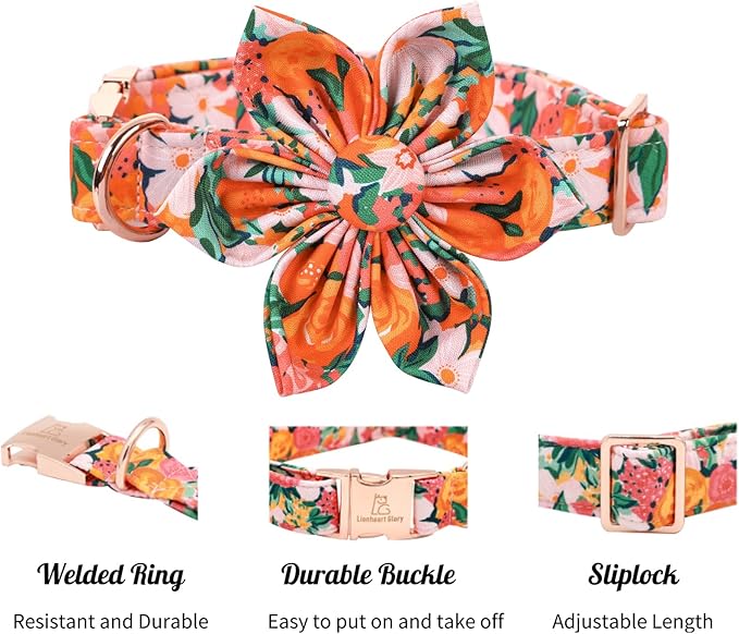 Lionheart Glory Dog Collar With Flower - Cute Floral Pattern Adjustable Pet Collar for Medium Dogs
