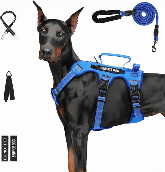 Escape Proof Dog Harness for Large Medium Sized Dogs Six Point Adjustable, Service Dog Vest Harness and Leash Set, No Pull Dogs Harnesses with Handle, XL Dog Harnesses for Walking(Blue, XL)