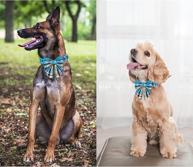 Unique style paws Blue Plaid Dog Collar with Bow Cute Puppy Collar for Small Medium Large Dogs as Autumn Winter Pet Gifts-XL