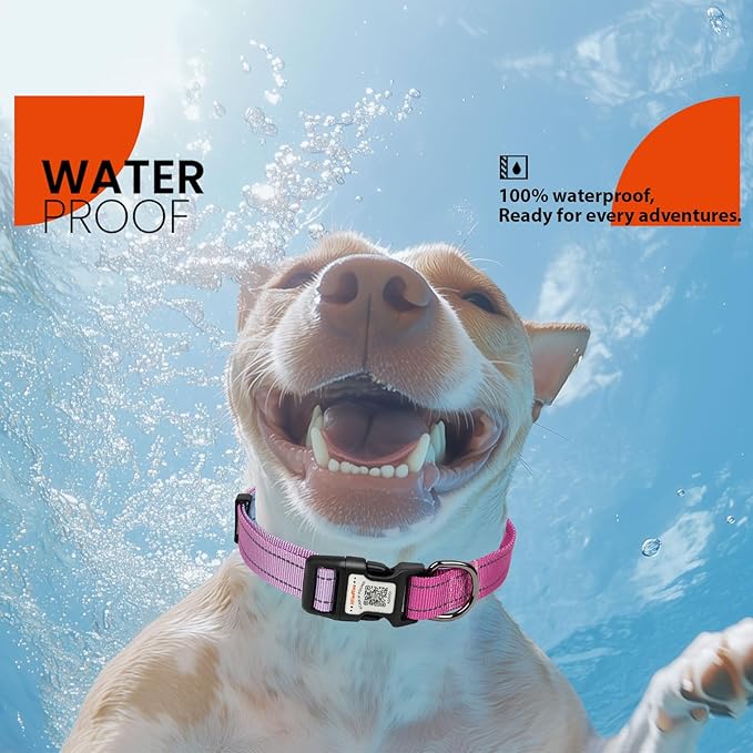 Reflective Dog Collars for Puppy Soft Nylon Blue-Rosered Gradient Sized XS