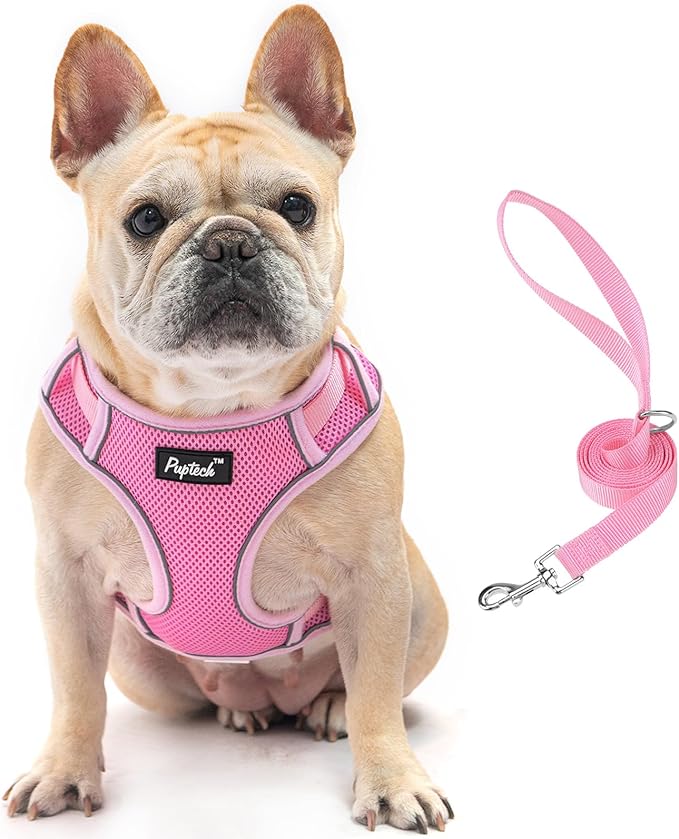 PUPTECK Dog Harness and Leash Set for Small Medium Dogs No Pull, Soft Mesh Adjustable Puppy Cat Harness Reflective at Night, Pink L