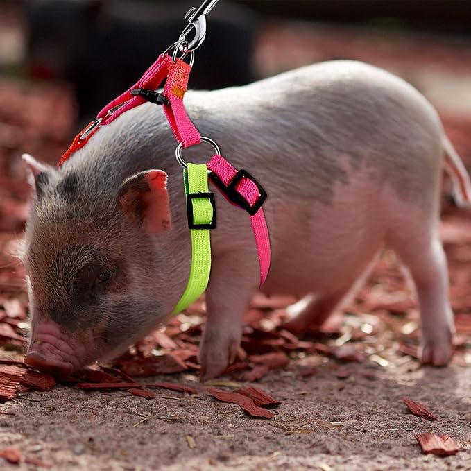 Frienda 2 Pcs Mini Pig Harness Leash Adjustable Small Pet Supply Mini Pig Walking Harness and Leash for Hog Piggy Ferret Rabbit Dog Cat and Other Small Animals Walking Training Jogging