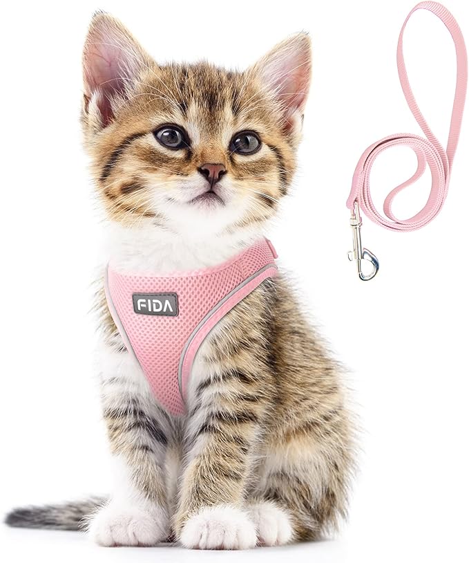 Fida Comfy Dog Harness with Leash, Cat Vest Harness Escape Proof, Breathable Lightweight Soft Mesh, Adjustable Reflective Step-in Harness for Puppy Toy Breeds & Extra-Small Pet (XXS, Pink)