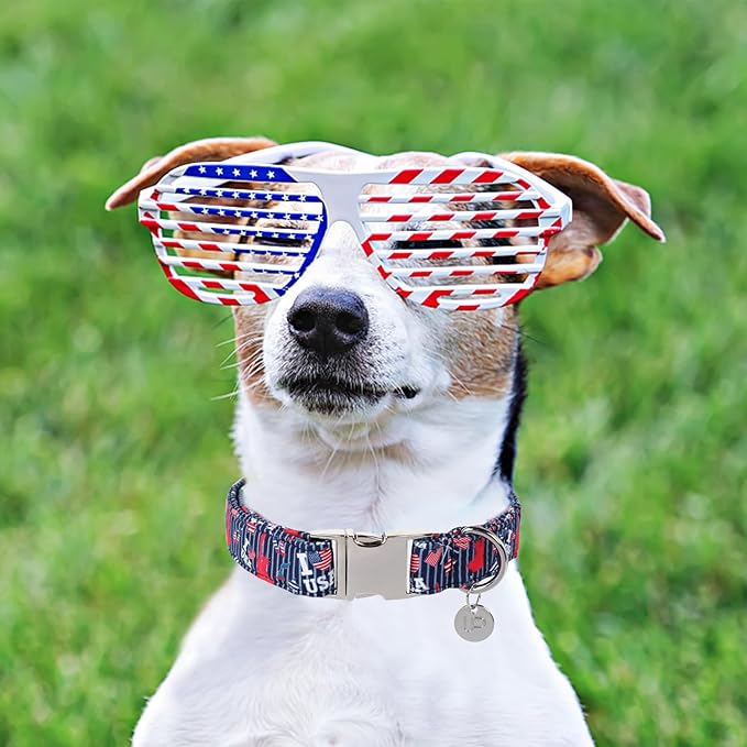 Patriotic American Flag Collar for Puppy or Cat, Comfortable Summer Collar with Metal Buckle, M, Neck 13.5-22in