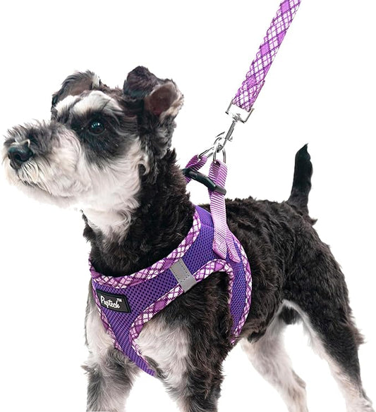 PUPTECK Dog Harness and Leash Set for Small Medium Dogs No Pull Step-in Soft Mesh Puppy Cat Vest Harnesses Reflective at Night, Purple M
