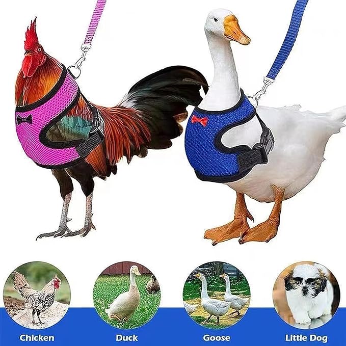 4 Pcs Funny Chicken Accessories - Comfortable Harness and Leash for Hens, Breathable Mesh