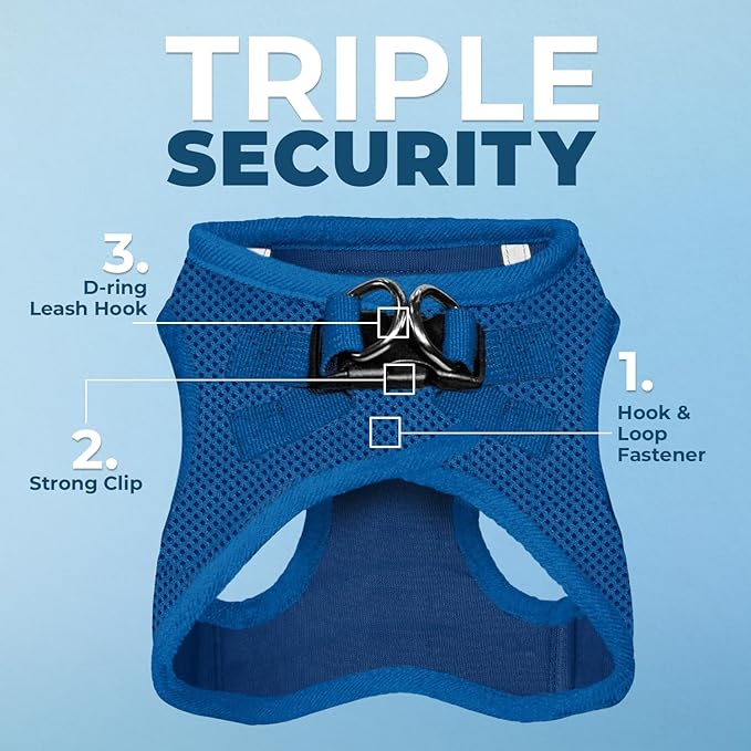 Voyager Step-in Air All Weather Mesh Harness and Reflective Dog 5 ft Leash Combo with Neoprene Handle, for Small, Medium and Large Breed Puppies by Best Pet Supplies - Set (Royal Blue), XL