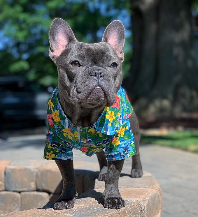 Parisian Pet Stylish Dog Hawaiian Shirt - Cotton Summer Beach Outfit - Hook & Loop Closure - Machine Washable - XS