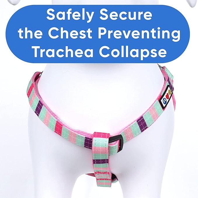 Pawtitas Pet Adjustable Solid Color Step in Puppy/Dog Harness 6 feet Matching Collar and Harness Sold Separately Extra Small Teal/Pink/Purple Multicolor