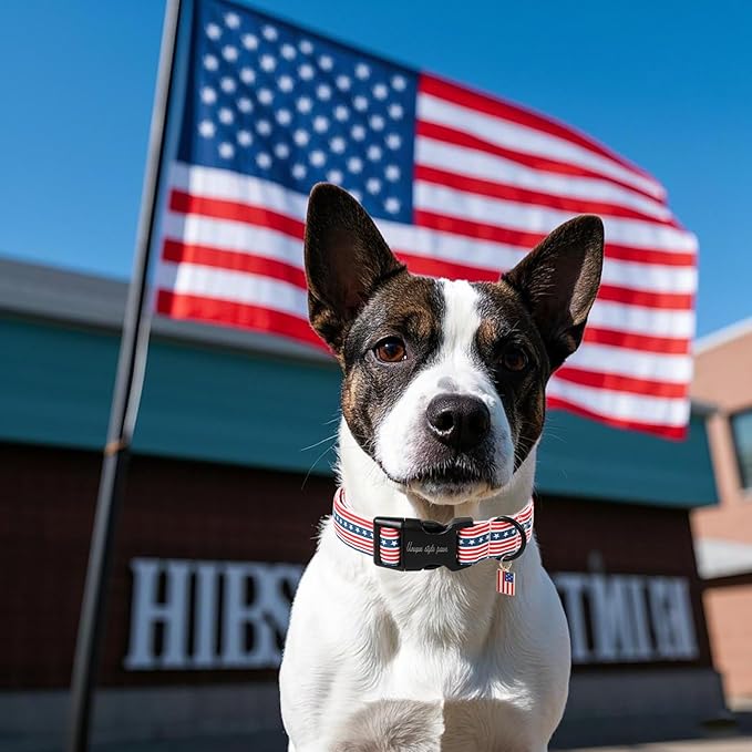 Unique style paws Dog Collar Plastic Buckle with Pendant Red Striped Star Puppy Collars for Small Medium Large Boys Girls Dogs