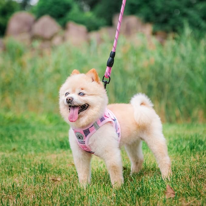BEAUTYZOO Small Dog Harness and Leash Set,Step in No Choke No Pull Soft Mesh Dog Harnesses Reflective for Extra-Small Medium Puppy Dogs and Cats, Plaid Dog Vest Harness for XS S Pets, Pink S