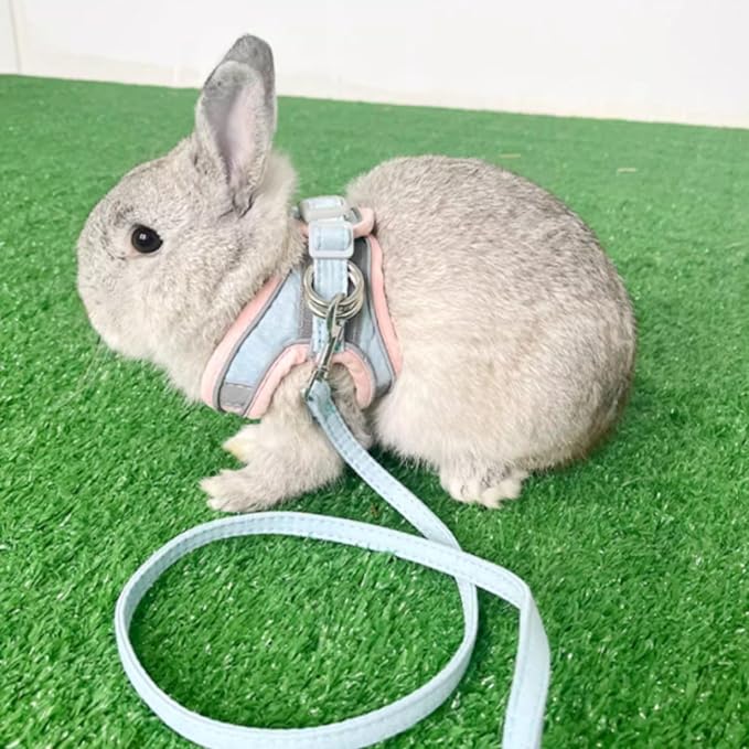 Rabbit Harness and Leash - Adjustable Bunny Harness Escape Proof for Walking Runnig Hiking Camping Outdoor - Cute Small Animal Harness Leash Set (Small)