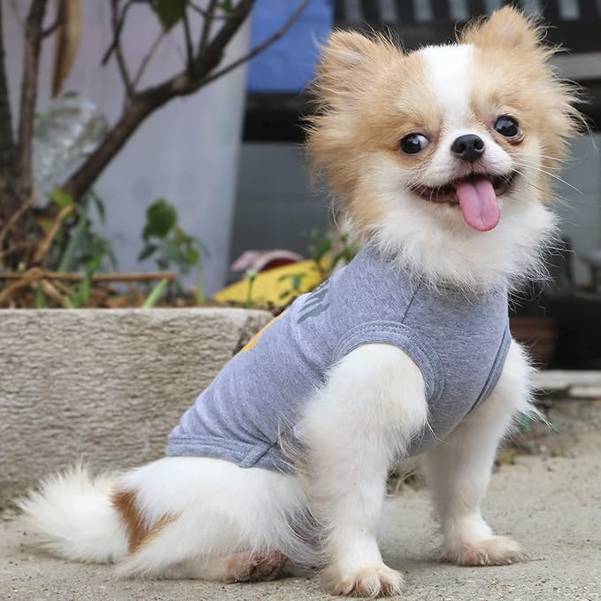 LOPHIPETS Dog All I Want is A Hug Letter Print Shirts for Small Dog Bichon Clothes Tee-Grey/XL