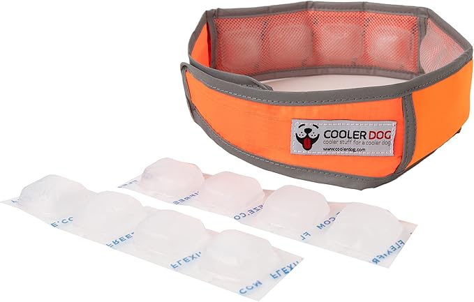 Hi-Vis Dog Cooling Collar - Orange Reflective Re-Freezable Ice Collar (X-Large)