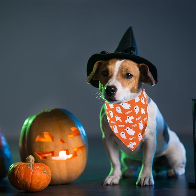 ADOGGYGO Halloween Dog Bandana, Spider Web Ghost Pet Scarf, Premium Durable Fabric, Orange Halloween Bandanas for Small Dogs Cats Puppies (Small)