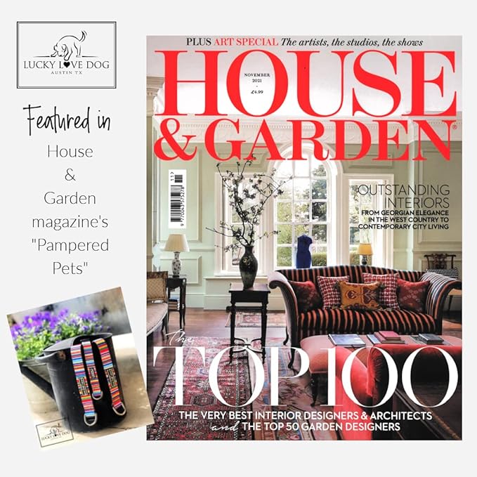 Lucky Love Dog - Adjustable Dog Collar and Leash Set with Easy Click Buckle for Small to Large Dogs, Durable, & Comfortable Collar for Male & Female Dogs, Puppies & Adult Ones - Nacho Combo, XS