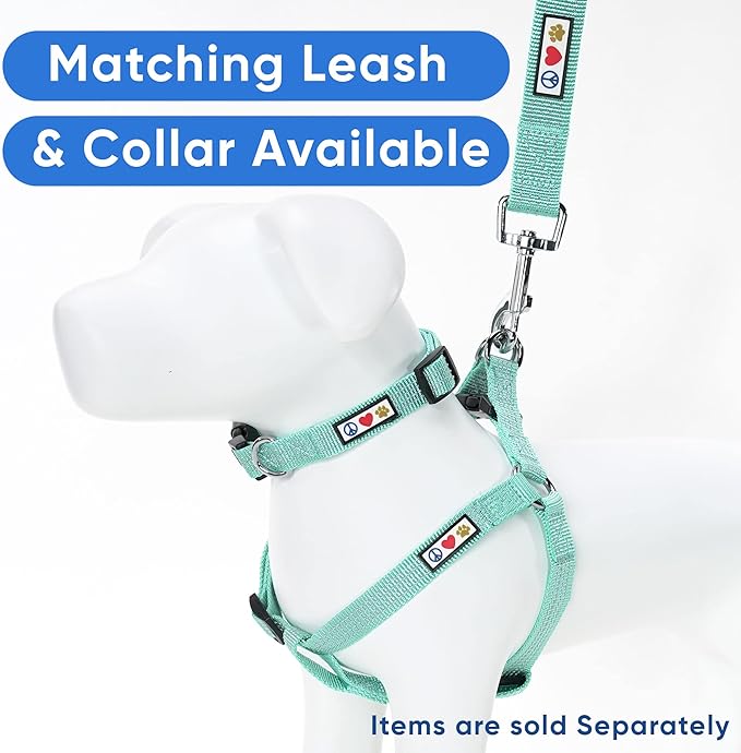 Pawtitas Extra Small Dog Harness Teal Dog Harness Step in from a Senior Dog to a Puppy Harness Adjustable Reflective Dog Harness XS Reflective Dog Vest