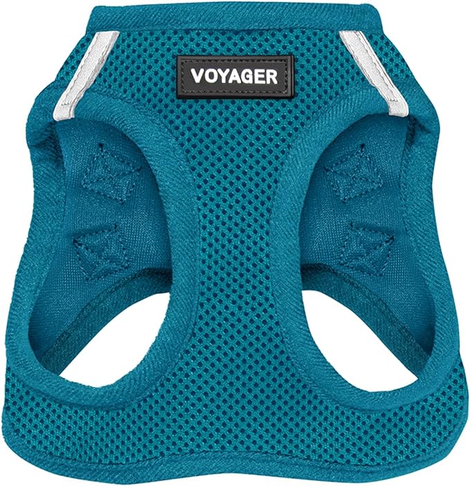Voyager Step-In Air Dog Harness - All Weather Mesh, Reflective, No Pull Harness for Small, Medium Dogs, Cats - Secure with Hook & Loop Fastener, Buckle, Double D-Rings - Turquoise, XXXS