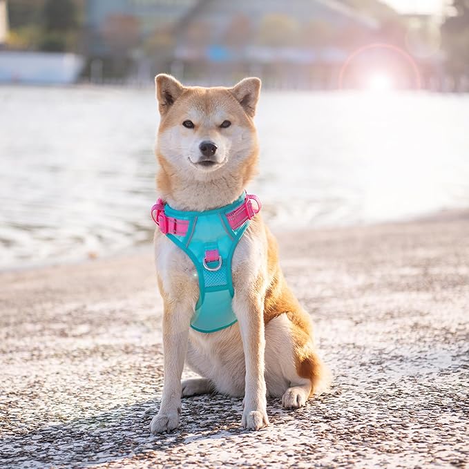 PHOEPET No Pull Dog Harness, Unique Colors Reflective Adjustable Dog Vest, with Soft Training Handle Metal Clips for Small Medium Large Dogs (Mint Green Base & Pink Straps,M)