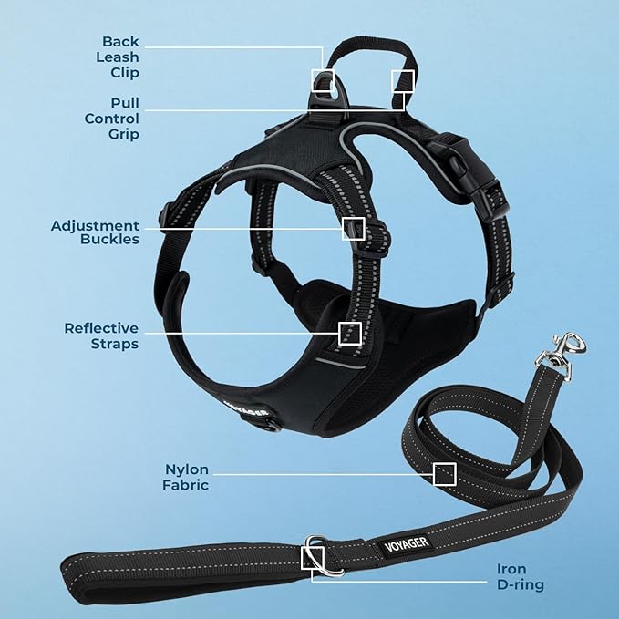 Dog Harness Dual Leash Attachment No-Pull Control Adjustable Soft but Strong Pet Harness for Medium and Large Dogs with 3M Reflective Technology - Harness Leash Set (Black), S