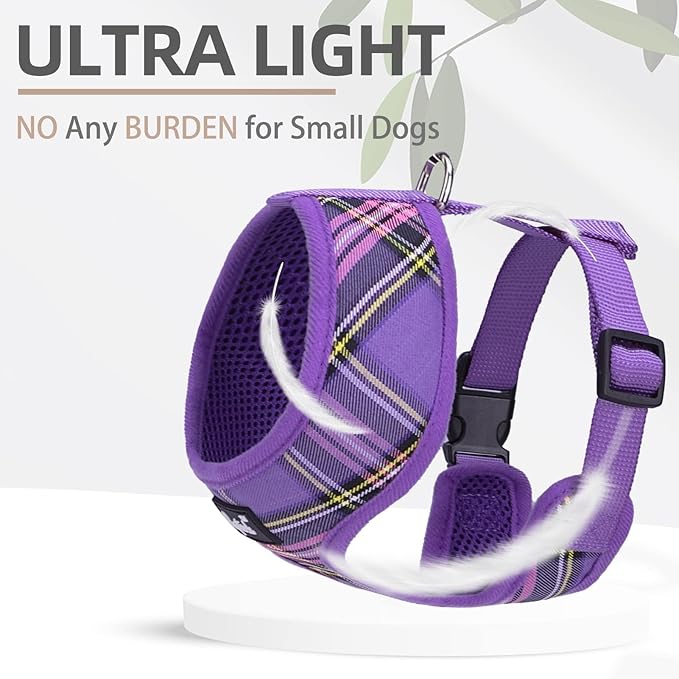 PUPTECK Soft Mesh Dog Harness and Leash Set Pet Puppy Cat Comfort Padded Vest No Pull Harnesses, Purple, XS