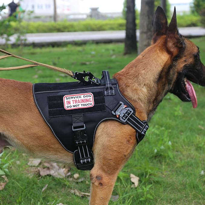 ICEFANG Tactical Dog Harness,Large Size, 2X Metal Buckle,Working Dog MOLLE Vest with Handle,No Pulling Front Leash Clip,Hook and Loop Panel