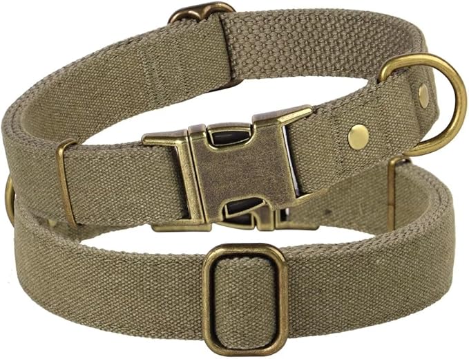 PET ARTIST Dog Collars for Small Dogs, Heavy Duty Dog Collar with Quick Release Metal Buckle, Soft Padded Nylon, Durable & Adjustable for Boy Gifts, Green, S (Fit 10-16")