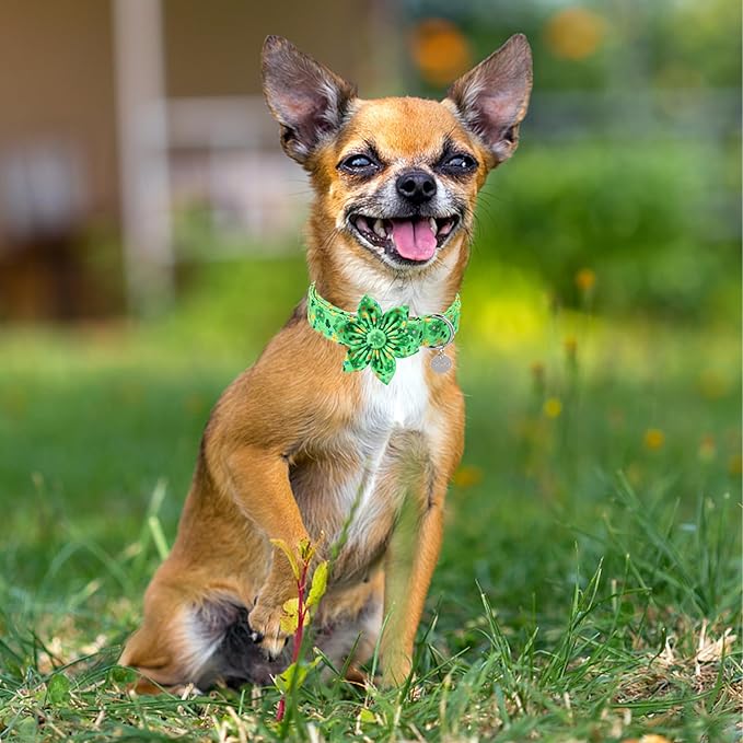 St. Patrick's Dog Collar with Flower, Cotton St. Patrick's Flower Collar for Girl Boy Dog, Lucky Shamrock Dog Collar with Metal Buckle, Green, Spring, M
