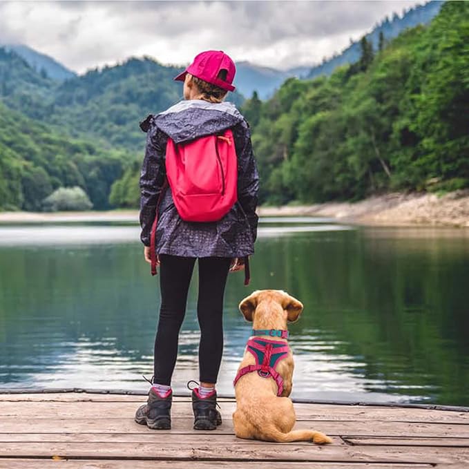 No Pull Dog Harness Adjustable Soft Padded Pet Vest with Control Handle Adorable Daily Harness for Dogs（Viridian Green M）