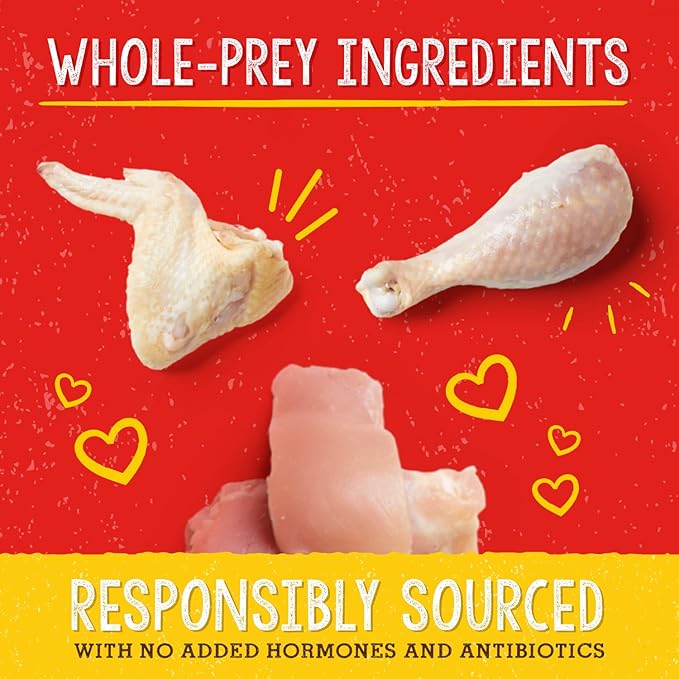 Stella & Chewy's Freeze-Dried Raw Dog Food for Hip & Joint - Cage-Free Chicken - Natural Solution for Joint Pain, Mobility & Inflammation - Premium Raw Nutrition - 13 oz