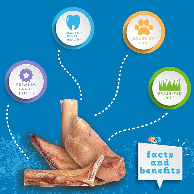Jack&Pup Premium Dog Chews - Bites & Bully Sticks | Gullet Jerky (2lb, Medium & Small Dogs, All Natural, Single Ingredient)