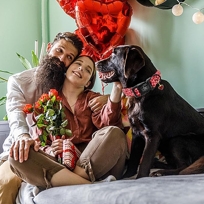 Elegant little tail Valentine's Dog Collar, Red Heart Dog Collars Female or Male Adjustable Cotton Pet Collar with Quick Release Buckle for Small Medium Large Dogs