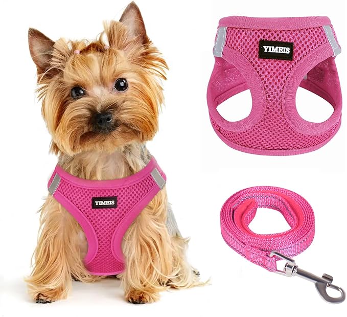Dog Harness for Small Dogs Harness and Leash Set, Honeycomb Grid, Reflective Lightweight Harness & Anti-Twist Pet Lead (Multi Color, Size: XS-S-M) (XS, Rose red)