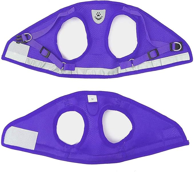 FEimaX Dog Harness and Leash Set for Walking, Soft Mesh Adjustable Easy Control Lightweight Cat Vest Harnesses with Reflective Strips, Escape Proof Small Dogs Cats Vests