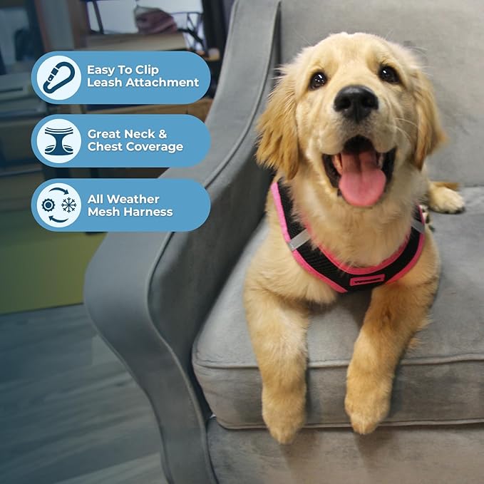 Voyager Step-in Air All Weather Mesh Harness and Reflective Dog 5 ft Leash Combo with Neoprene Handle, for Small, Medium and Large Breed Puppies by Best Pet Supplies - Black/Pink Trim, X-Small