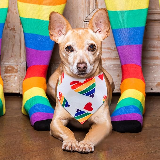 48 Pcs Pride Dog Bandanas LGBT Pet Scarves with Rainbow Color Rainbow Stripe Dog Cat Bandana for Boys and Girls Summer Holiday Triangle Scarf for Medium Pet Costume Accessories