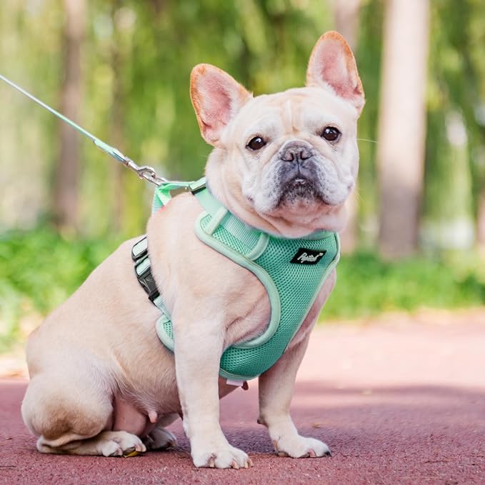 PUPTECK Dog Harness and Leash Set for Small Medium Dogs No Pull, Soft Mesh Adjustable Puppy Cat Harness Reflective at Night, Green M