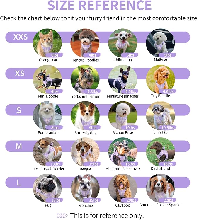 voopet Small Dog Harness and Leash Lightweight Cat Comfort Padded Soft Mesh Vest Step in Dog Harness No Pull No Choke Reflective Small Plaid Girl & Boy Puppy Kitty Walking Harness, Purple L