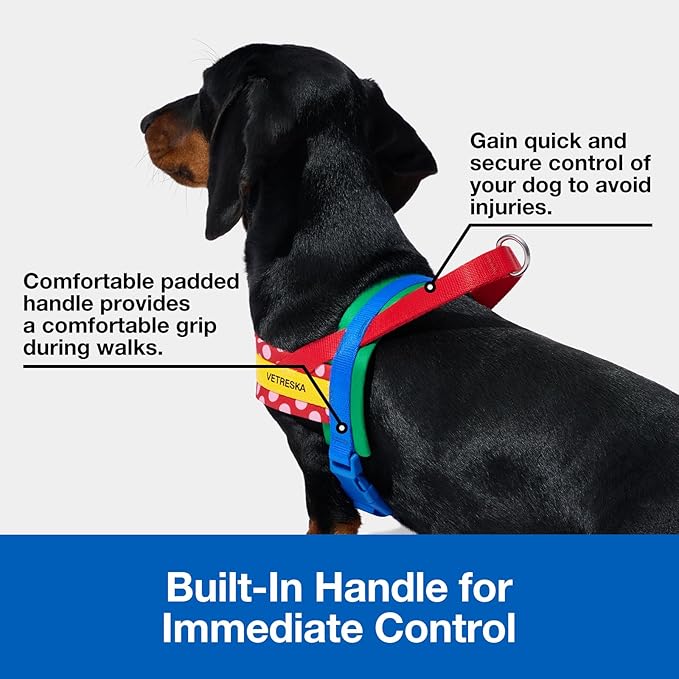 VETRESKA MoMA Dog Harness and Leash Set, Easy Walk Dog Harness for Large Dogs, No Pull Puppy Harness for Walking and Training, Adjustable, Take Control & Anti-Twist Pet Lead Combo(Red, L)