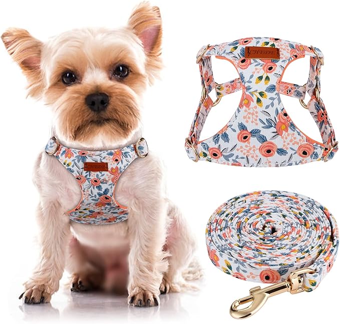 CHEDE No Pull Floral Pattern Dog Harness- Lightweight, Soft, Adjustable Small Harness and Leash Set, Suitable for Puppy Small and Medium-Sized Dog (XS, Orange Rose)